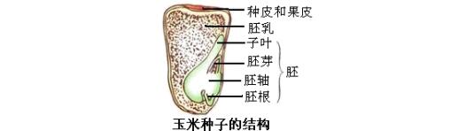 江西中小學(xué)教師